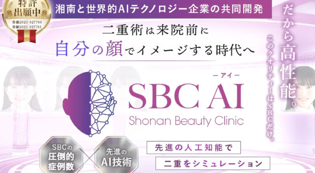 SBC医療メニュー単位のマーケティング戦略の立案と実践イメージ2